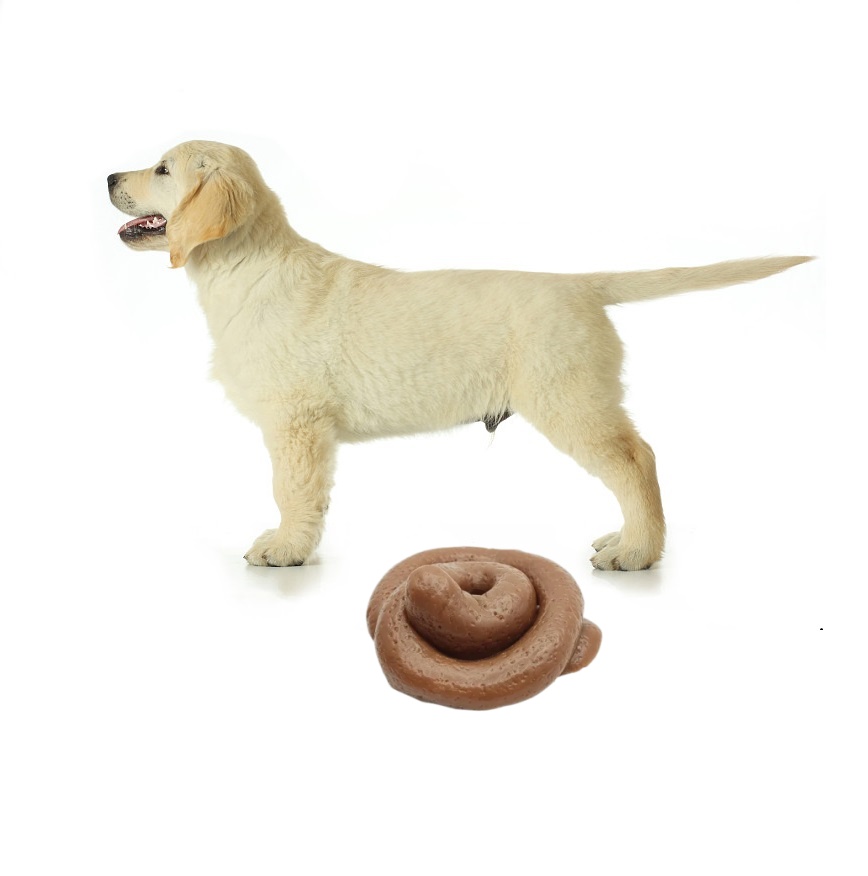 Fake Poop Gag Gift - Grappige Prank Poep Squishy Speelgoed -