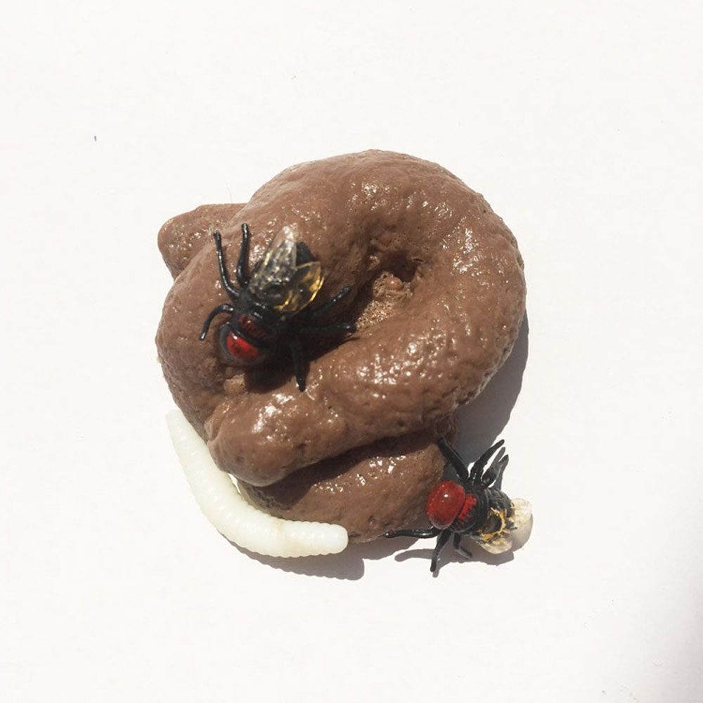 Prank Realistisch Nep Shit Spe - Fake Poop Gag Gift recensie en prijs